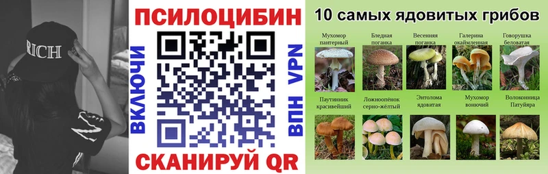 Галлюциногенные грибы мицелий  магазин    Очёр 