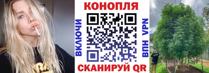 Канабис ГИДРОПОН  hydra ссылки  Очёр 